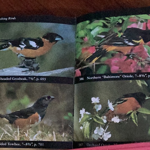 National Audubon Society Field Guide to North American Birds : Eastern Region EC - Picture 6 of 16